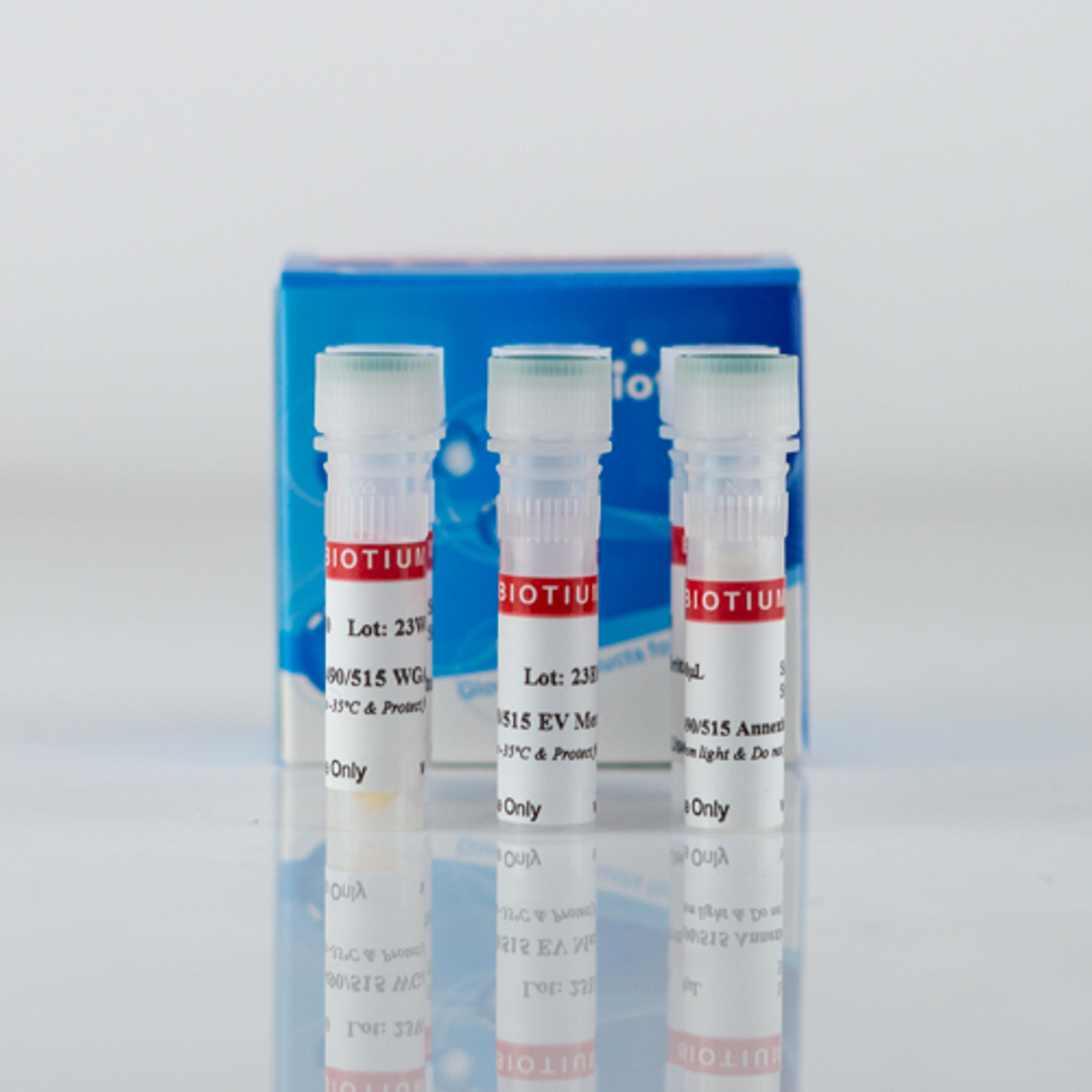 ExoBrite™ EV Surface Stain Sampler Kit, Green - Biotium - Life Sciences