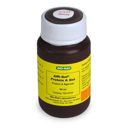 Affi-Gel Protein A Support #1536154 - Bio-Rad - Separations
