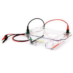 Wide Mini-Sub Cell GT Horizontal Electrophoresis System, 15 x 7 cm tray, with gel caster and casting gates - Bio-Rad - Life Sciences