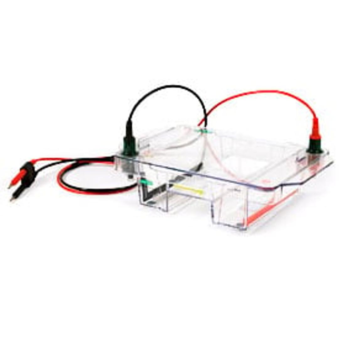 Wide Mini-Sub Cell GT Horizontal Electrophoresis System, 15 x 7 cm tray, with gel caster and casting gates - Bio-Rad - Life Sciences