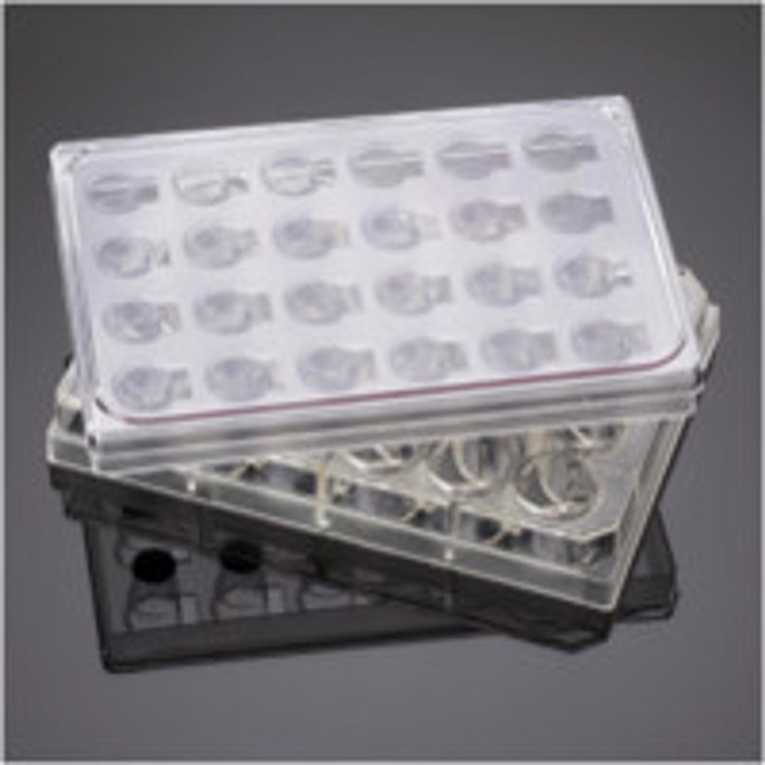 Corning® FluoroBlok™ HTS 24-well Multiwell Permeable Support System with 8.0 µm High Density PET Membrane, Sterile, 1/Case - Corning Life Sciences - Life Sciences