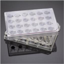 Corning® FluoroBlok™ HTS 24-well Multiwell Permeable Support System with 8.0 µm High Density PET Membrane, Sterile, 1/Case - Corning Life Sciences - Life Sciences