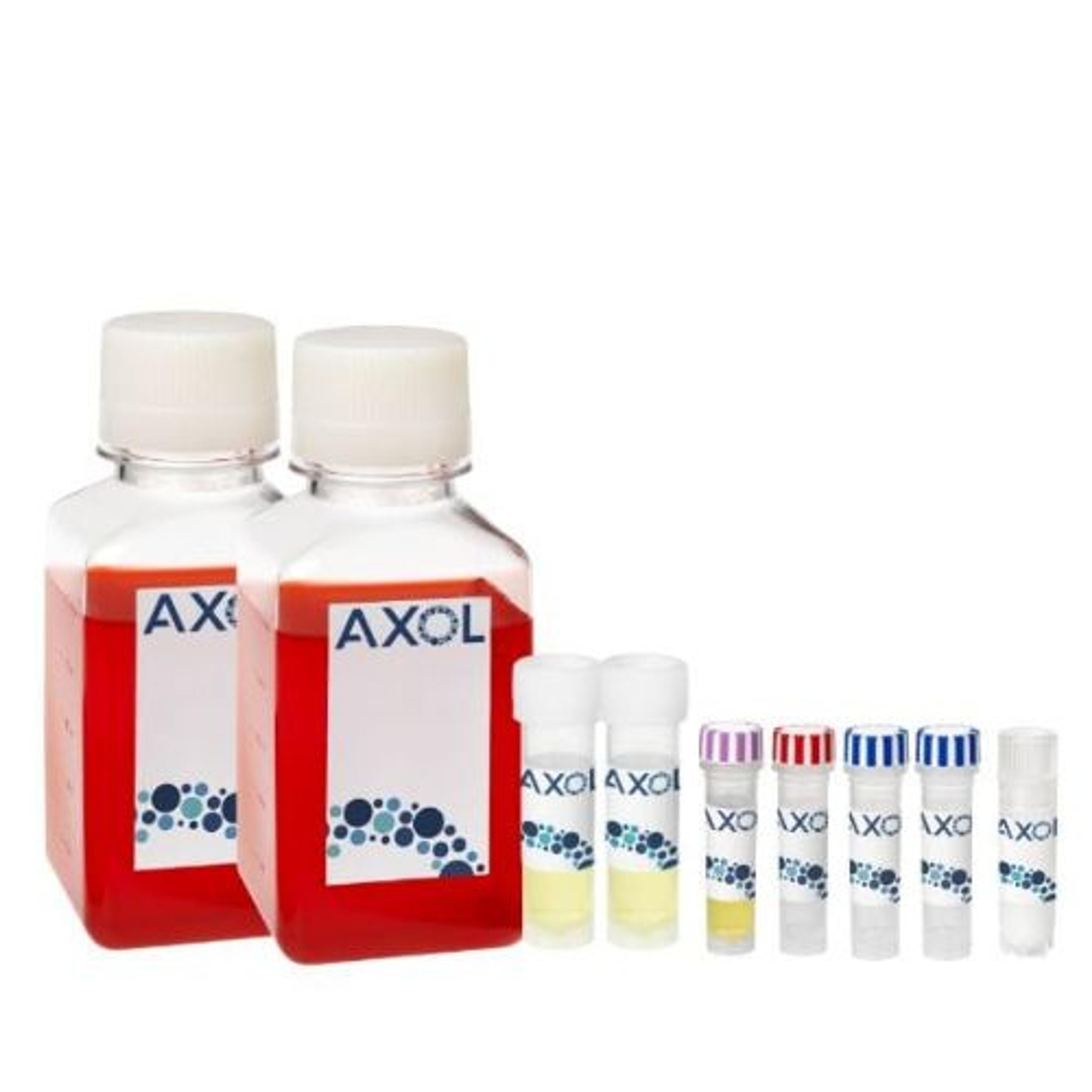 axoCells™ Human iPSC-Derived Striatal Neuron Cells, Media, Supplements and Coating kit, Huntington's Disease (HTT CAG50) female donor, ≥1.5 million cells - Axol Bioscience - Life Sciences