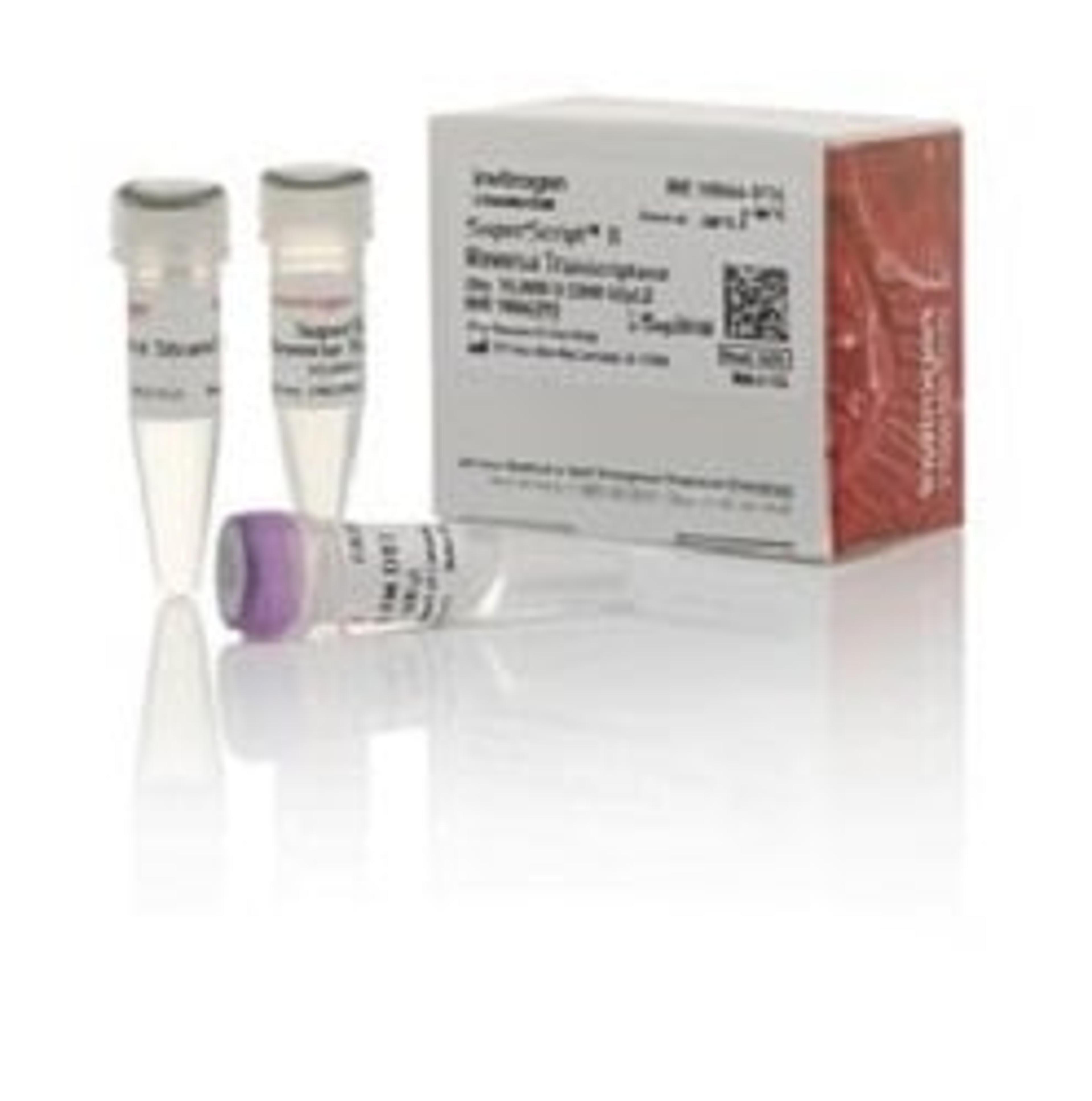 Invitrogen™ SuperScript™ II Reverse Transcriptase - Thermo Fisher Scientific