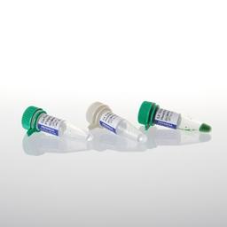 GoTaq® DNA Polymerase - Promega Corp. - Life Sciences