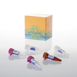 GoTaq® Probe qPCR Master Mix - Promega Corp. - Life Sciences