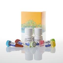 Glutamine/Glutamate-Glo® Assay - Promega Corp. - Life Sciences