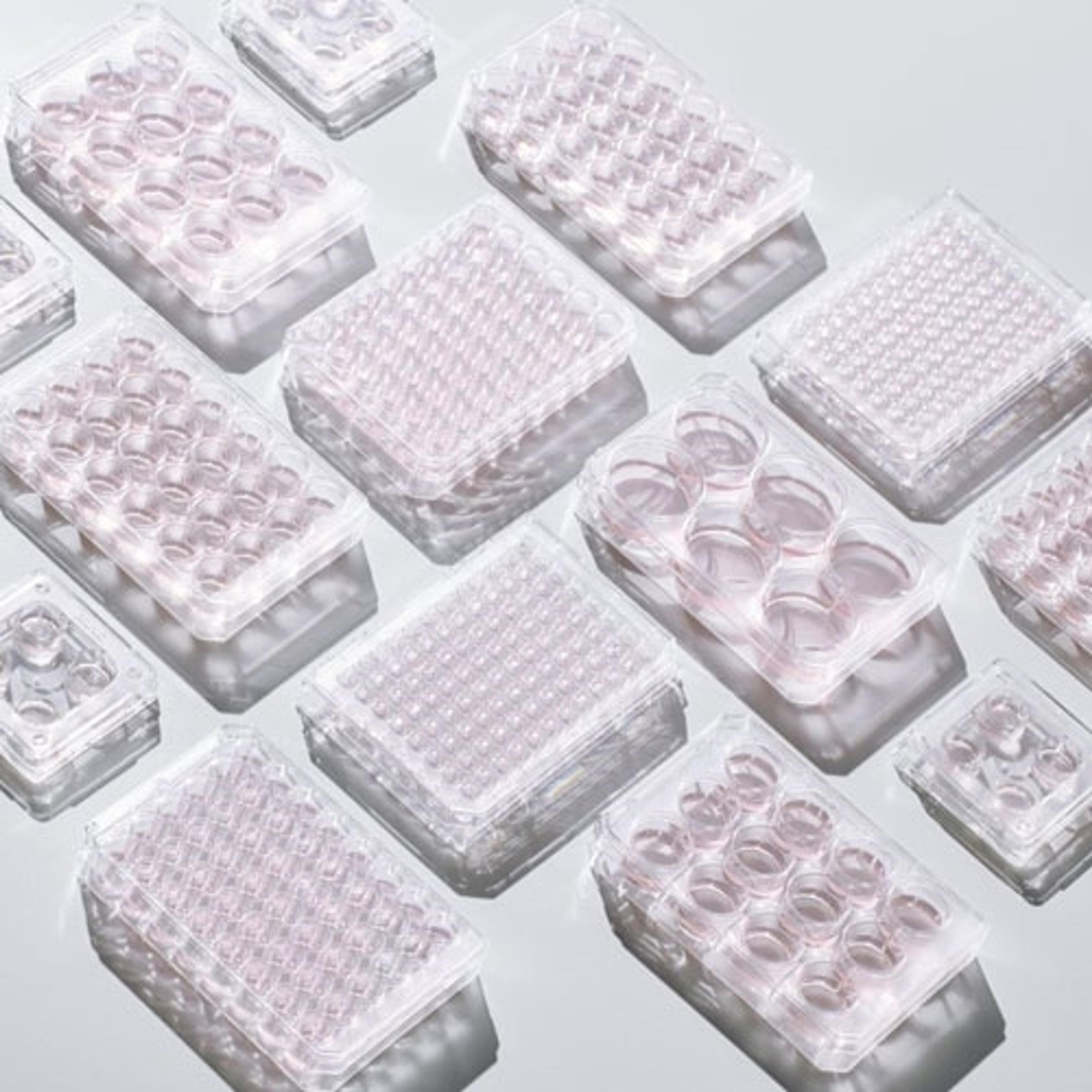 Thermo Scientific™ Nunc™ Tissue & Culture Plates and microwell plates - Thermo Fisher Scientific - Life Sciences
