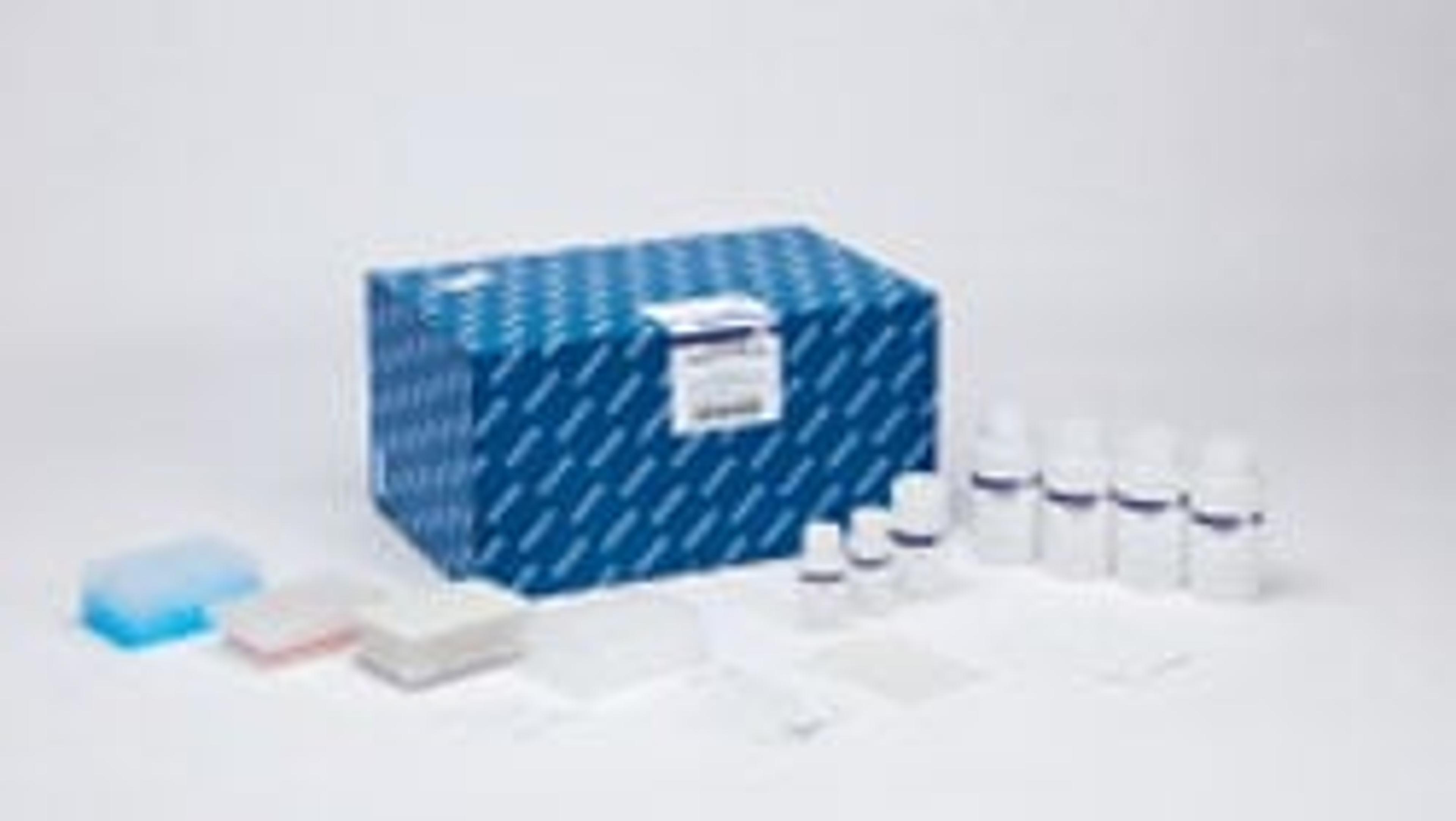 DNeasy 96 PowerSoil Pro Kit (384) - QIAGEN