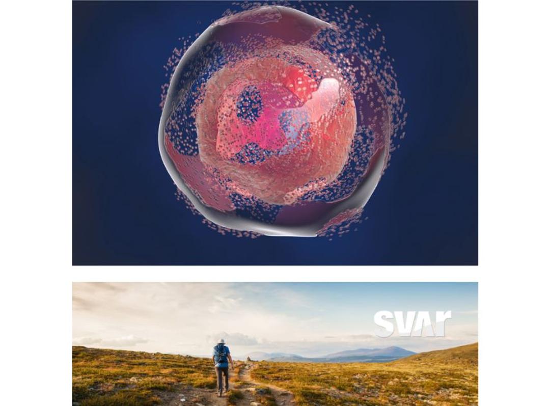 iLite® Cell-based Complement Bioassays - Svar Life Science AB - Life Sciences