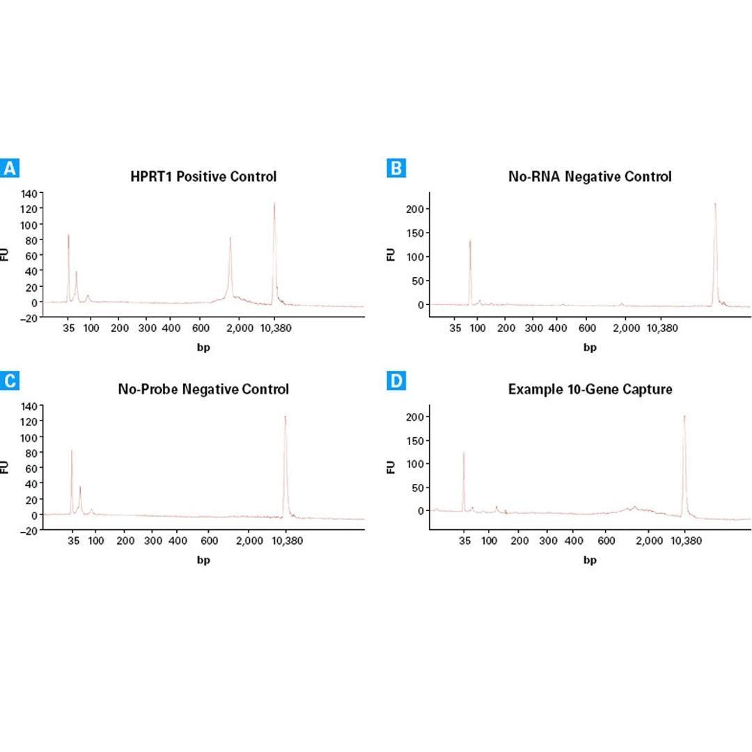SMARTer® Target RNA Capture for Illumina® - Takara Bio - Life Sciences