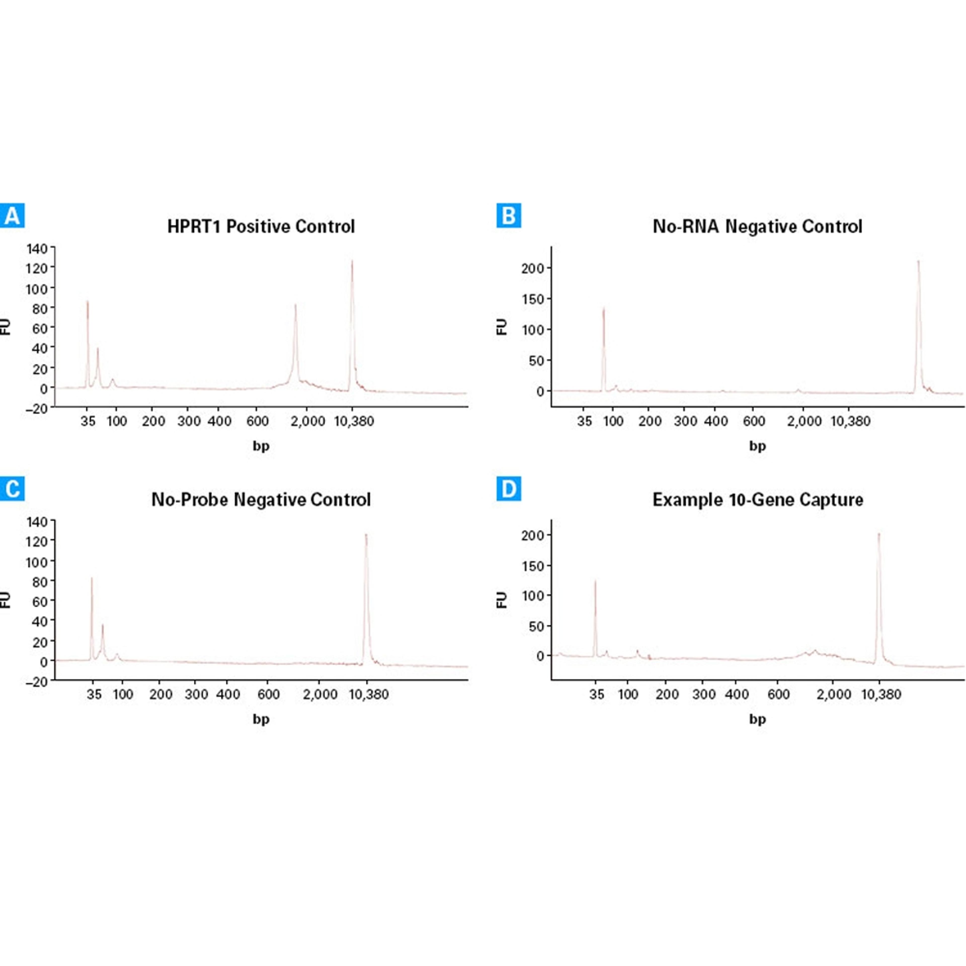 SMARTer® Target RNA Capture for Illumina® - Takara Bio - Life Sciences