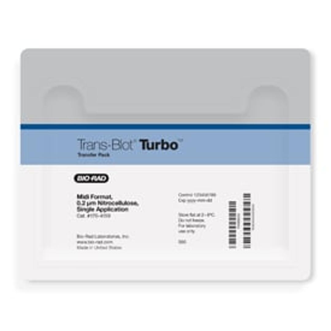 Trans-Blot® Turbo™ Midi Nitrocellulose Transfer Packs - Bio-Rad - Life Sciences