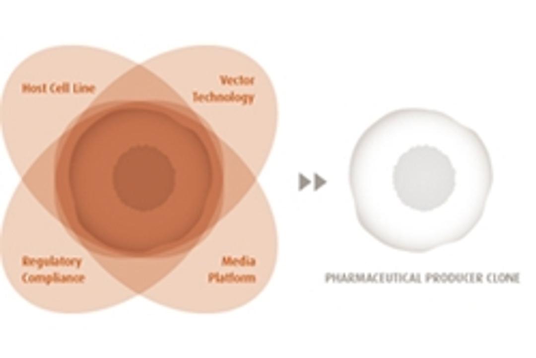 ProBioGen Pharmaceutical Cell Line Development Service - ProBioGen AG - Life Sciences