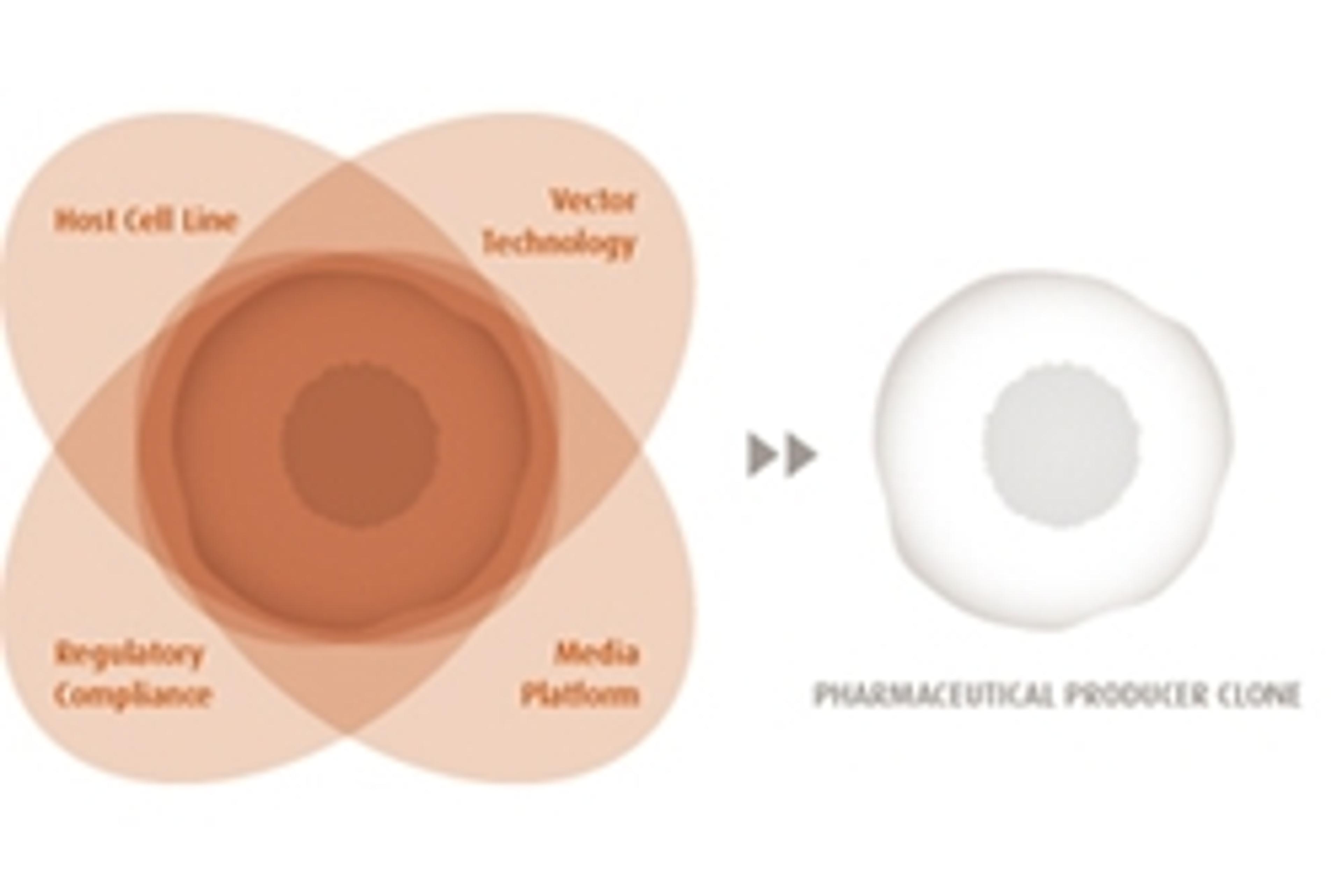 ProBioGen Pharmaceutical Cell Line Development Service - ProBioGen AG - Life Sciences