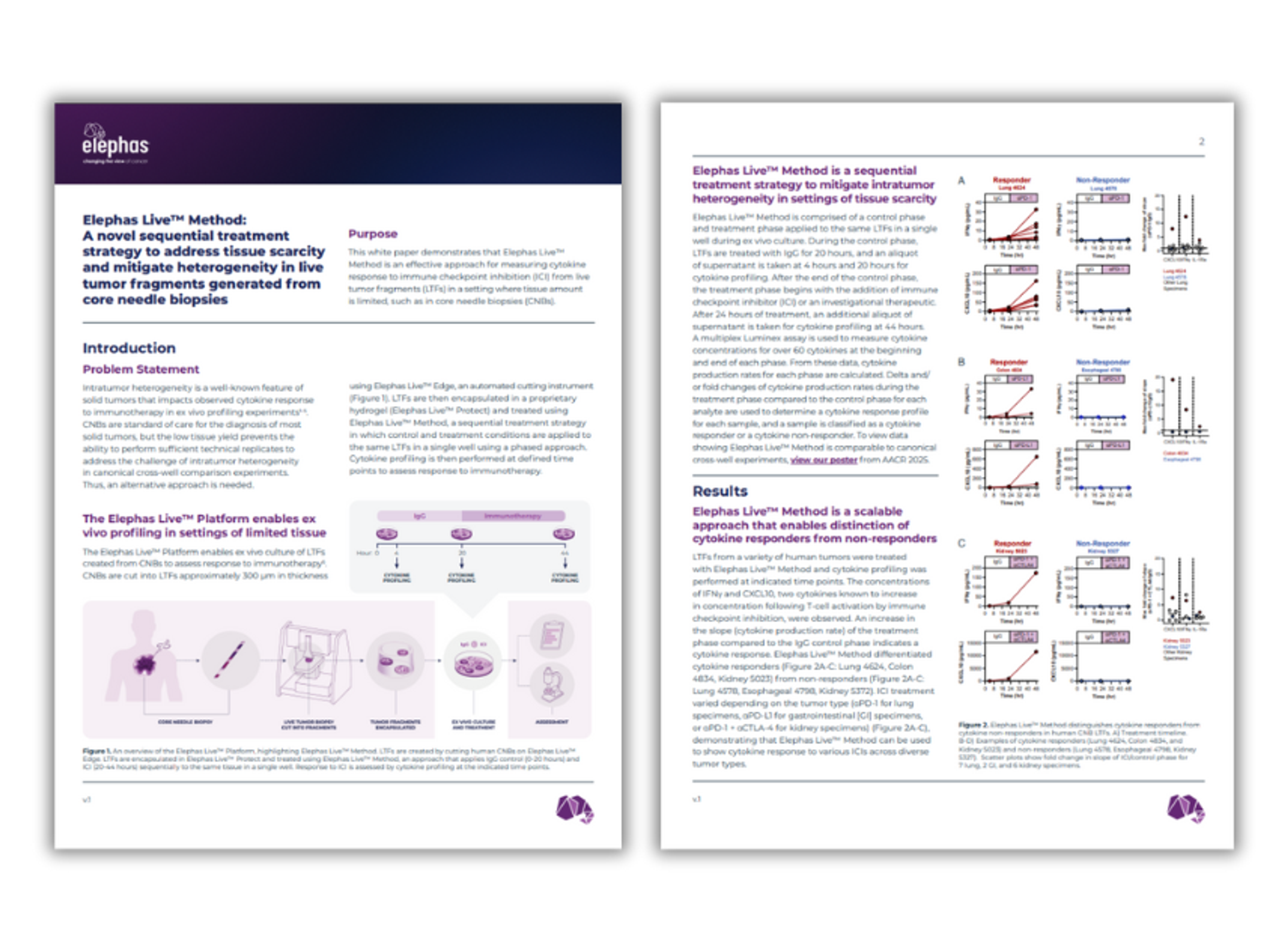 Elephas Live™ Method: A sequential approach to tackle tissue scarcity and heterogeneity in live tumor fragments
