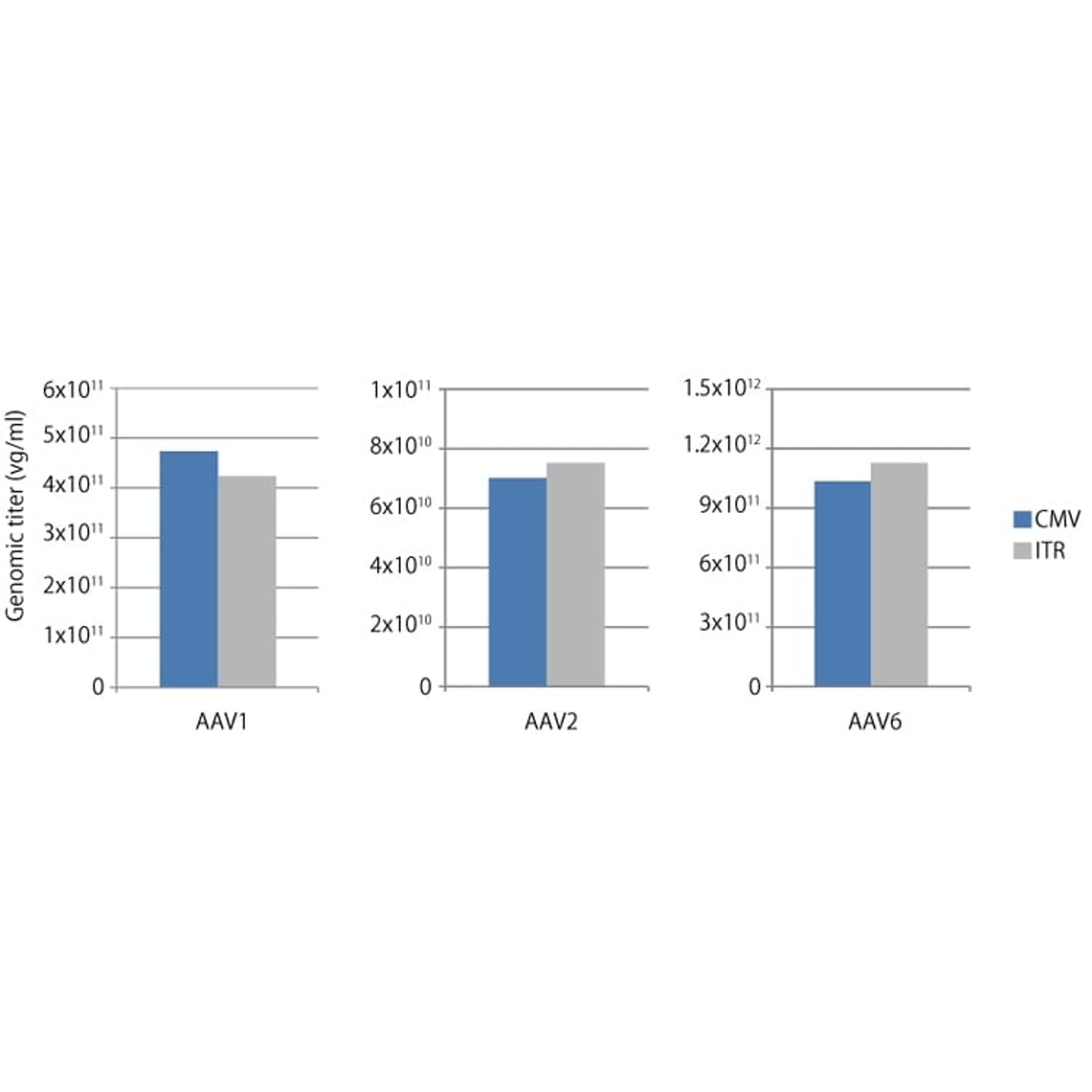 AAVpro® Titration Kit (for Real Time PCR) Ver.2 - Takara Bio