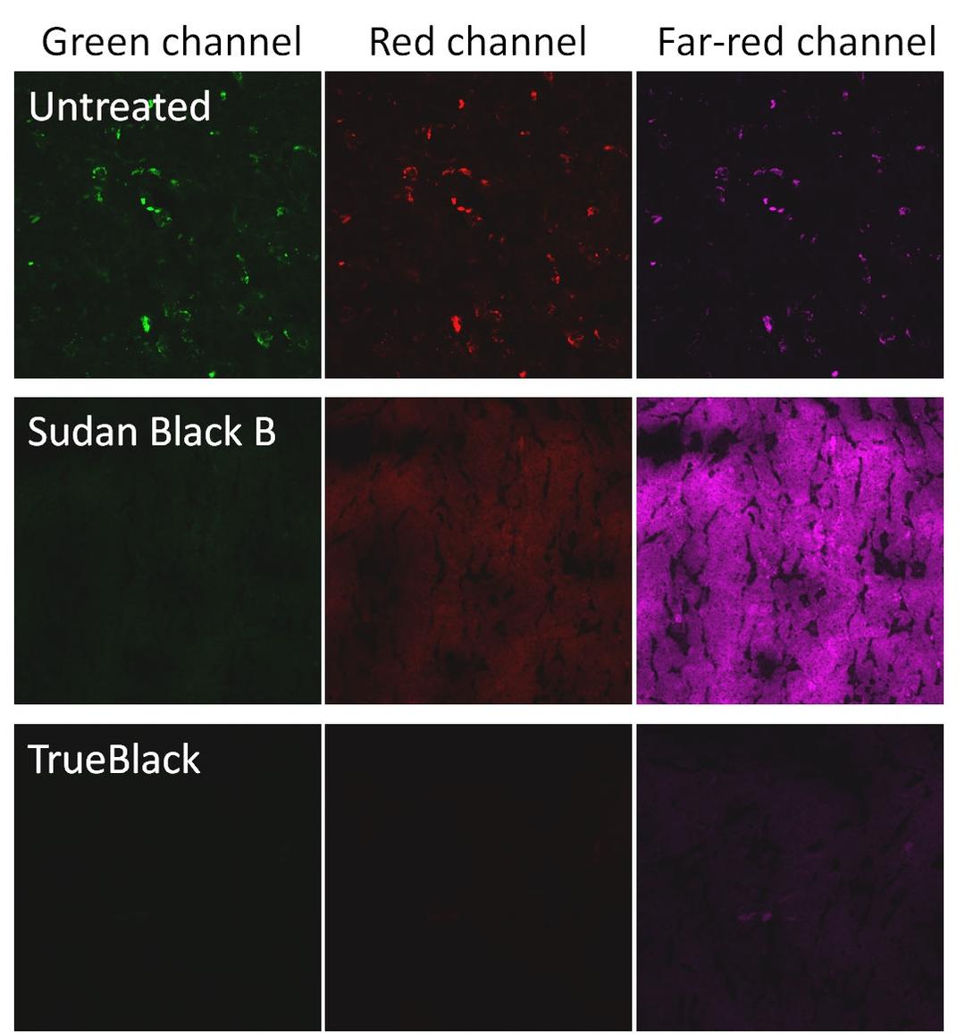 TrueBlack and Sudan Black B comparison.