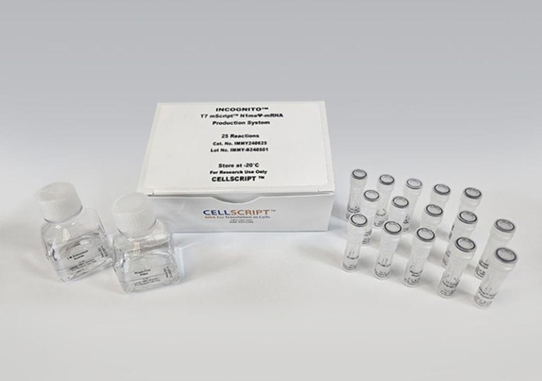 INCOGNITO™ T7 mScript™ N1meΨ-mRNA Production System - CELLSCRIPT™ - Life Sciences