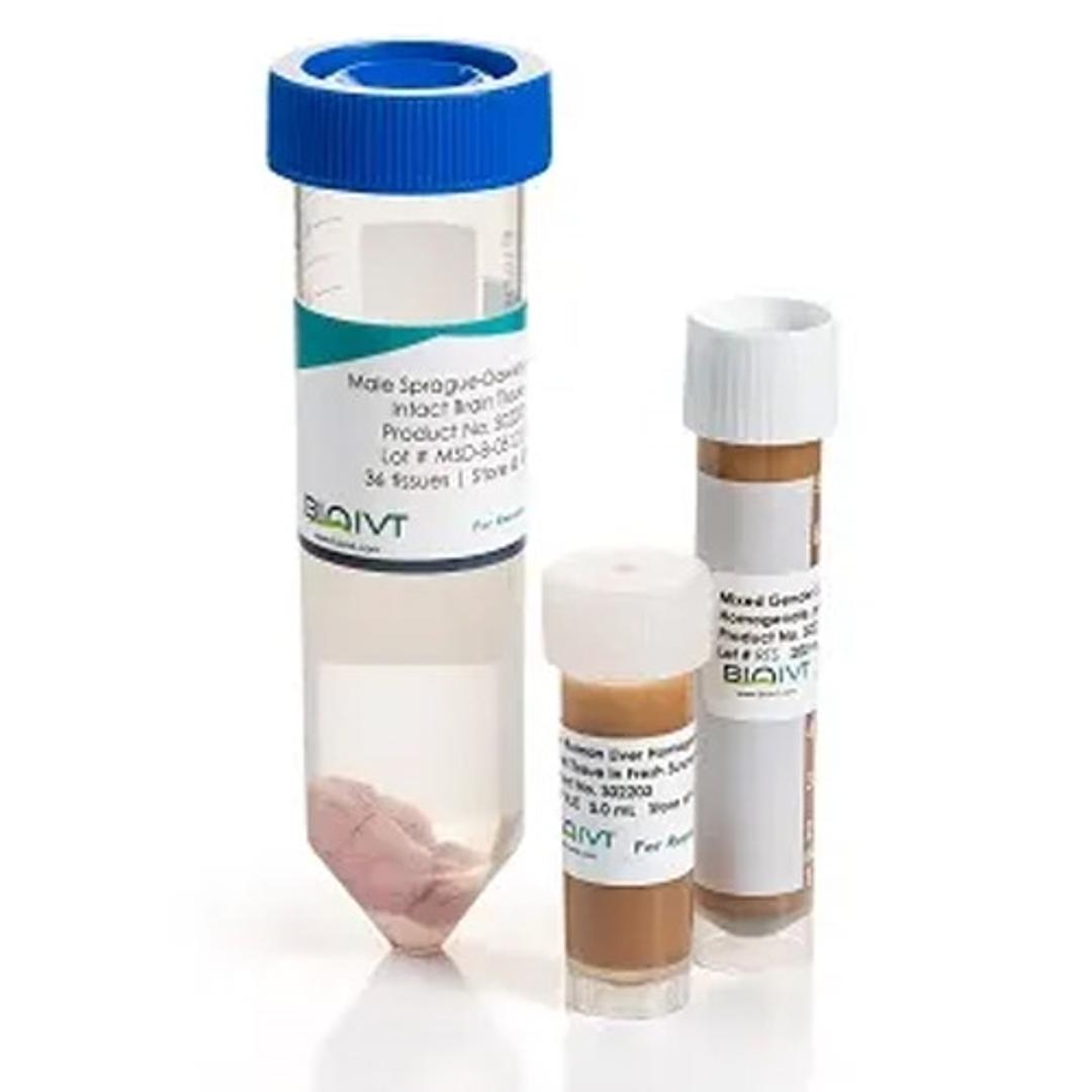 Mouse Tissue - BioIVT - Drug discovery > Pre-Clinical Development