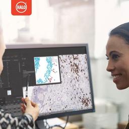 HALO® Image Analysis Platform - Indica Labs - Lab Informatics