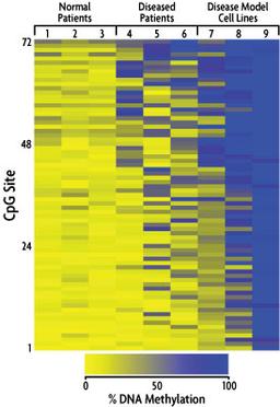 Targeted Next-Generation Bisulfite Sequencing Service - Active Motif - Life Sciences