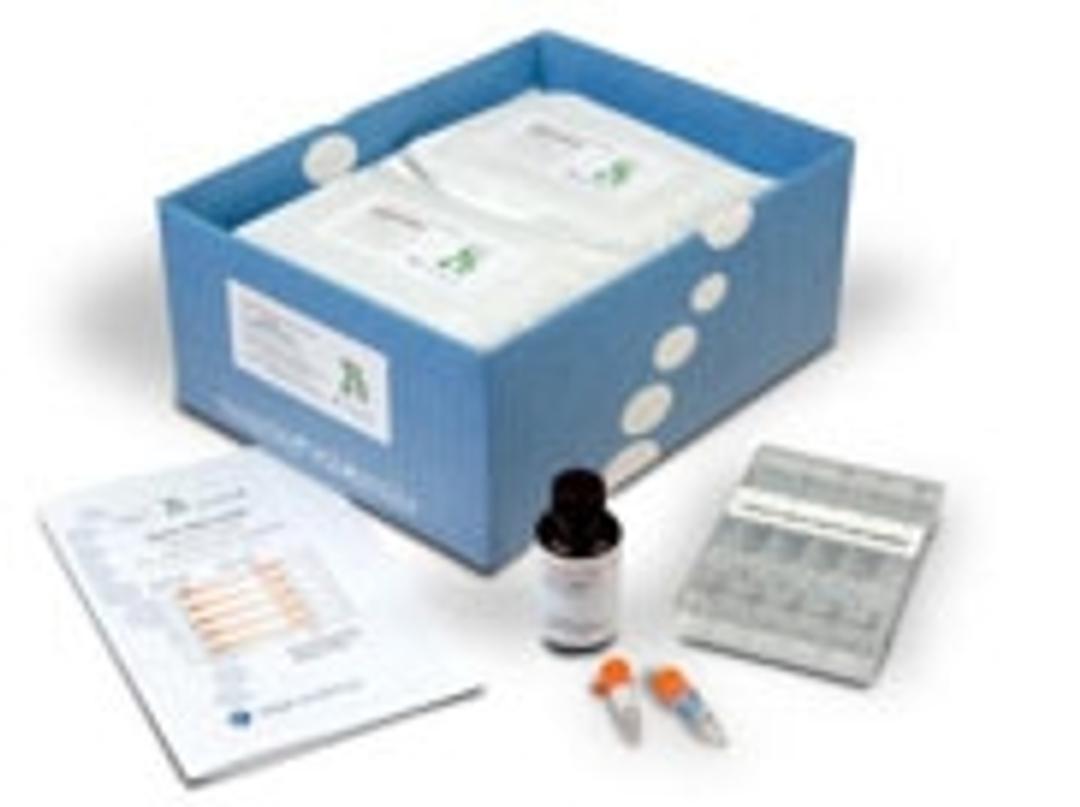 High Pass Plus™ Gel Cassette - Sage Science