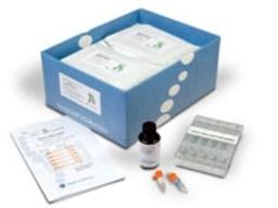 High Pass Plus™ Gel Cassette - Sage Science