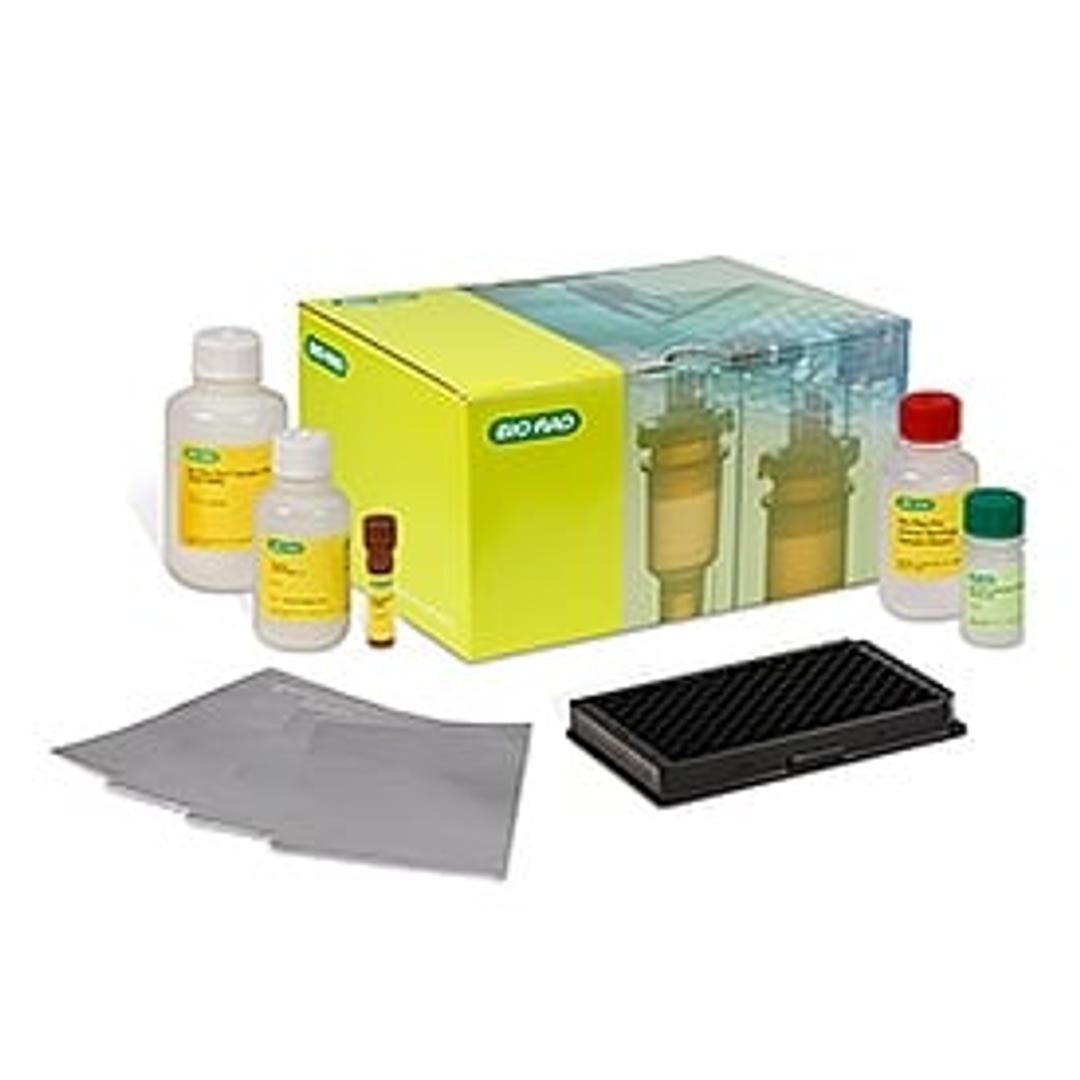 Bio-Plex Pro Human IgG SARS-CoV-2 N/RBD/S1/S2 4-Plex Panel - Bio-Rad - Life Sciences