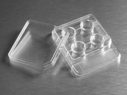 Falcon® 4-well TC-treated in vitro Fertilization (IVF) Dish - Corning Life Sciences