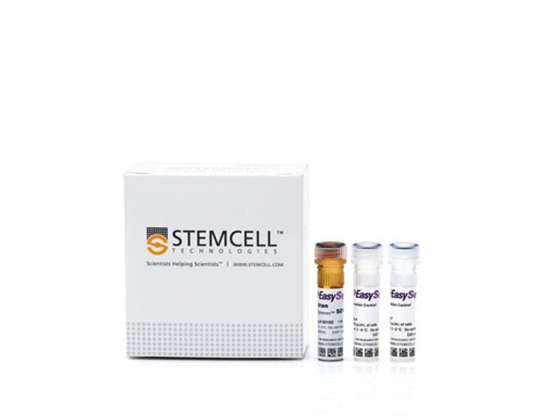 EasySep™ Human B Cell Isolation Kit - STEMCELL Technologies Inc. - Life Sciences