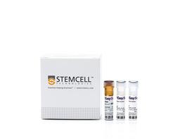 EasySep™ Human B Cell Isolation Kit - STEMCELL Technologies Inc. - Life Sciences