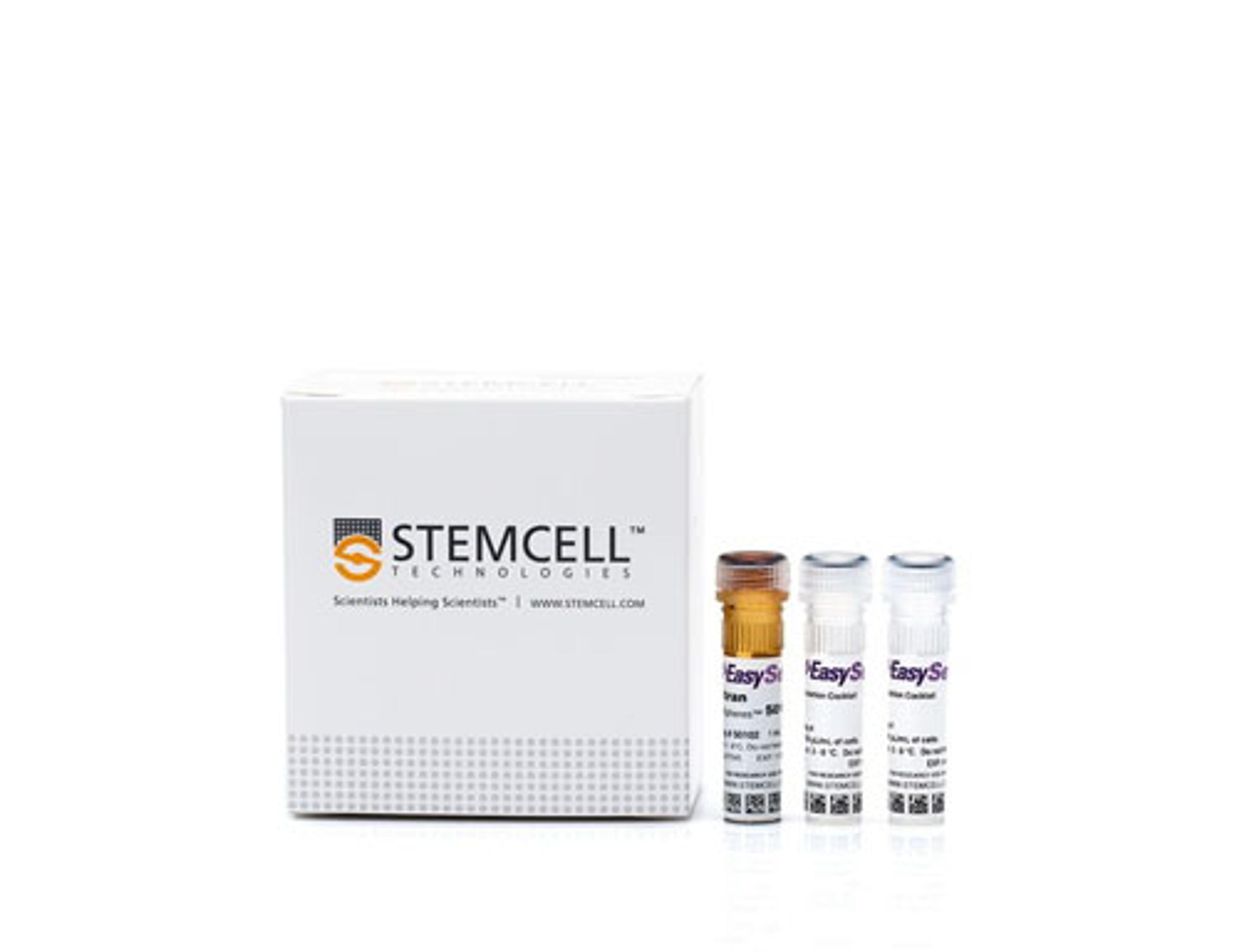 EasySep™ Human B Cell Isolation Kit - STEMCELL Technologies Inc. - Life Sciences