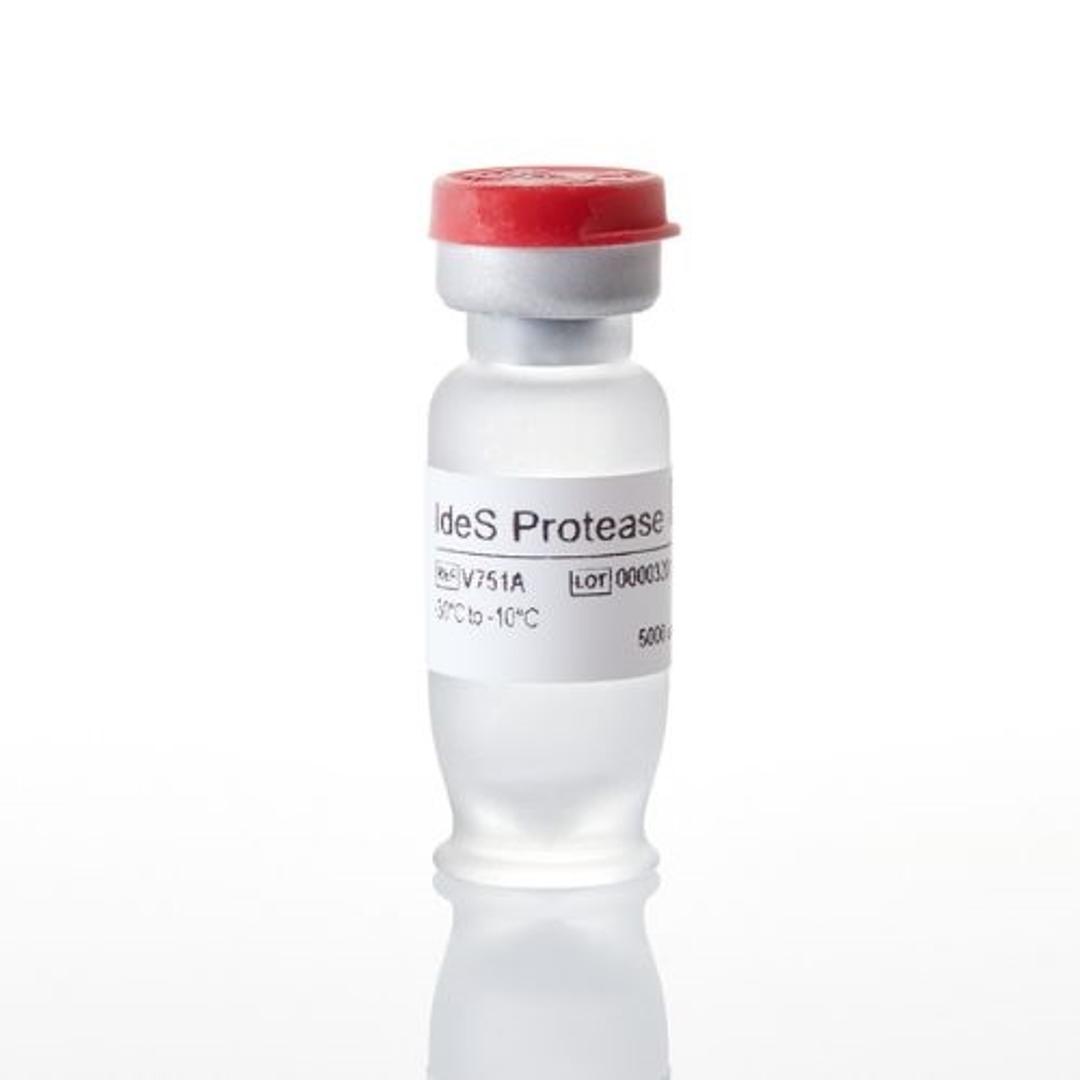 IdeS Protease - Promega Corp. - Life Sciences