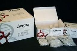 AxyPrep™ Body Fluid Viral DNA/RNA Miniprep Kit - Axygen Scientific, Inc. - Life Sciences