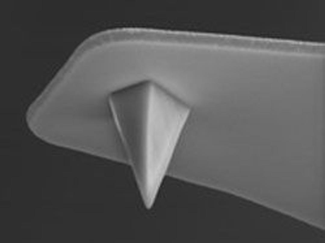 MSCT Probes - VEECO Instruments Inc. - Life Sciences