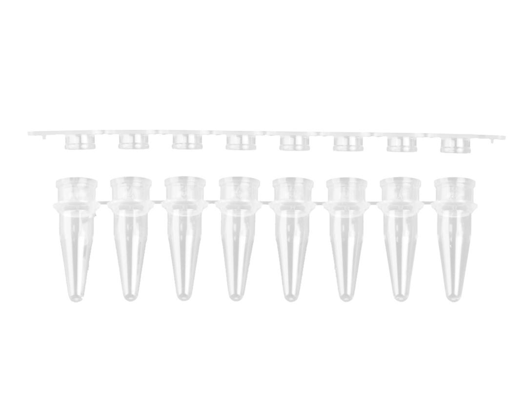 Axygen® 0.2 mL Polypropylene PCR Tube Strips and Flat Cap Strips, 8 Tubes/Strip, 8 Flat Caps/Strip, Clear, Nonsterile - Corning Life Sciences - Life Sciences