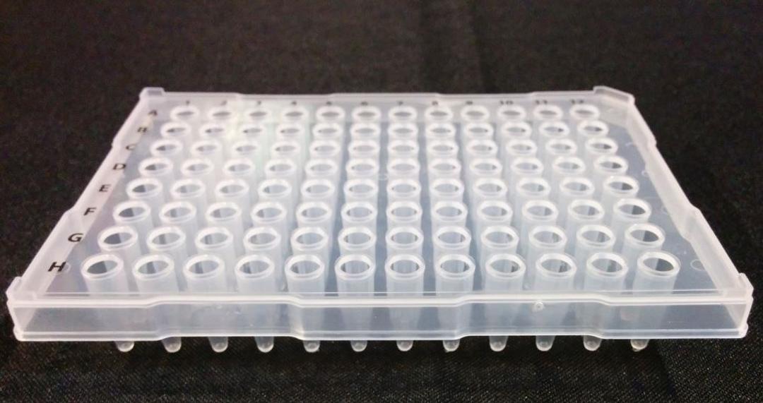 96 Well Half Skirt PCR Plate, 0.2mL (High-Profile), RNase and DNase Free, Clear, 100/CS - Stellar Scientific - Life Sciences