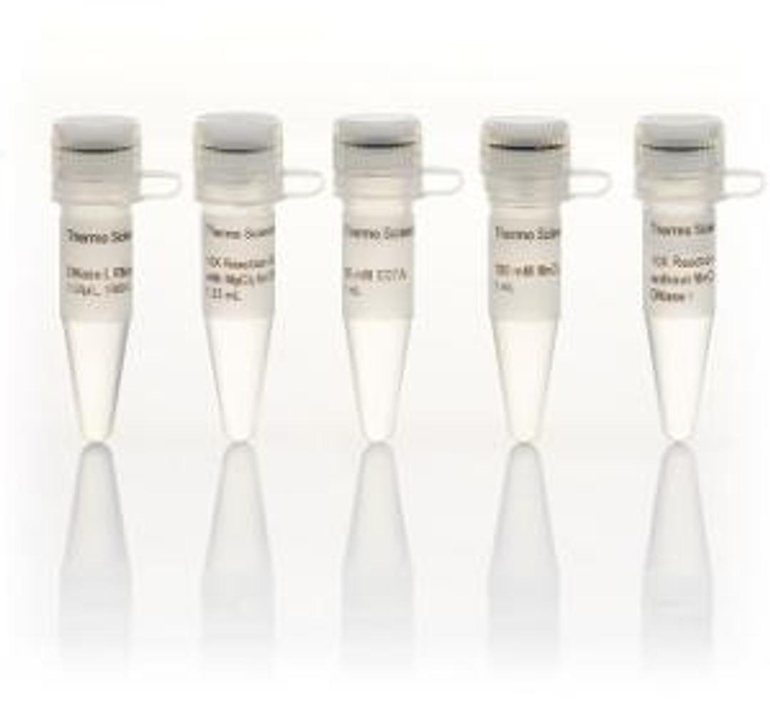 DNase I - VWR International Ltd - Life Sciences