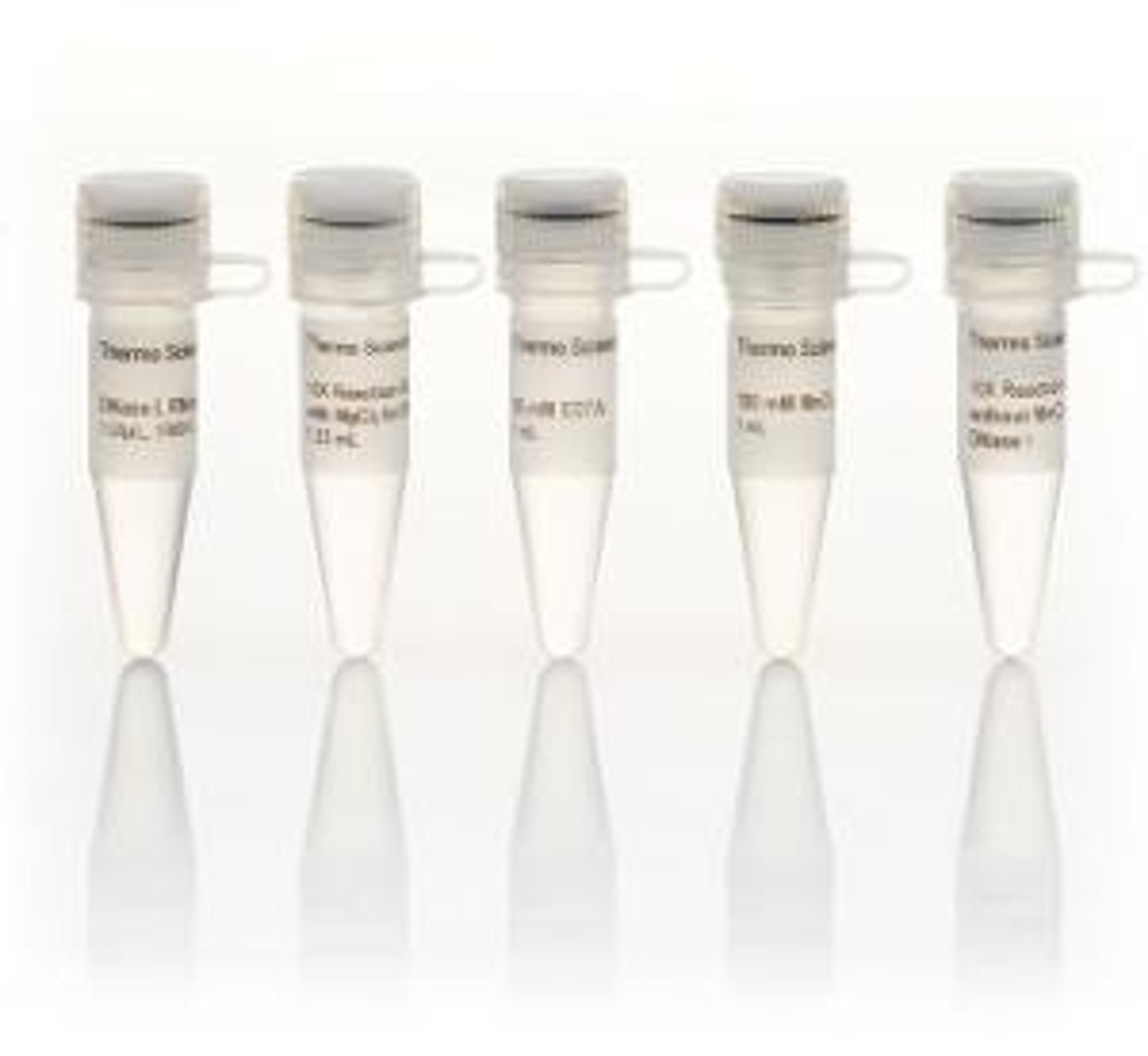 DNase I - VWR International Ltd - Life Sciences