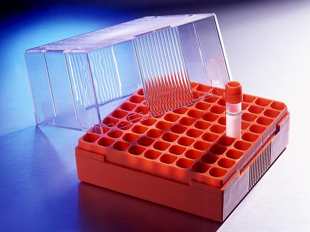 Corning® Polycarbonate 4 - 5 mL Cryogenic Vial Storage Box, Holds 81 Vials - Corning Life Sciences - Life Sciences