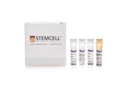EasySep™ Mouse PE Positive Selection Kit II - STEMCELL Technologies Inc. - Life Sciences