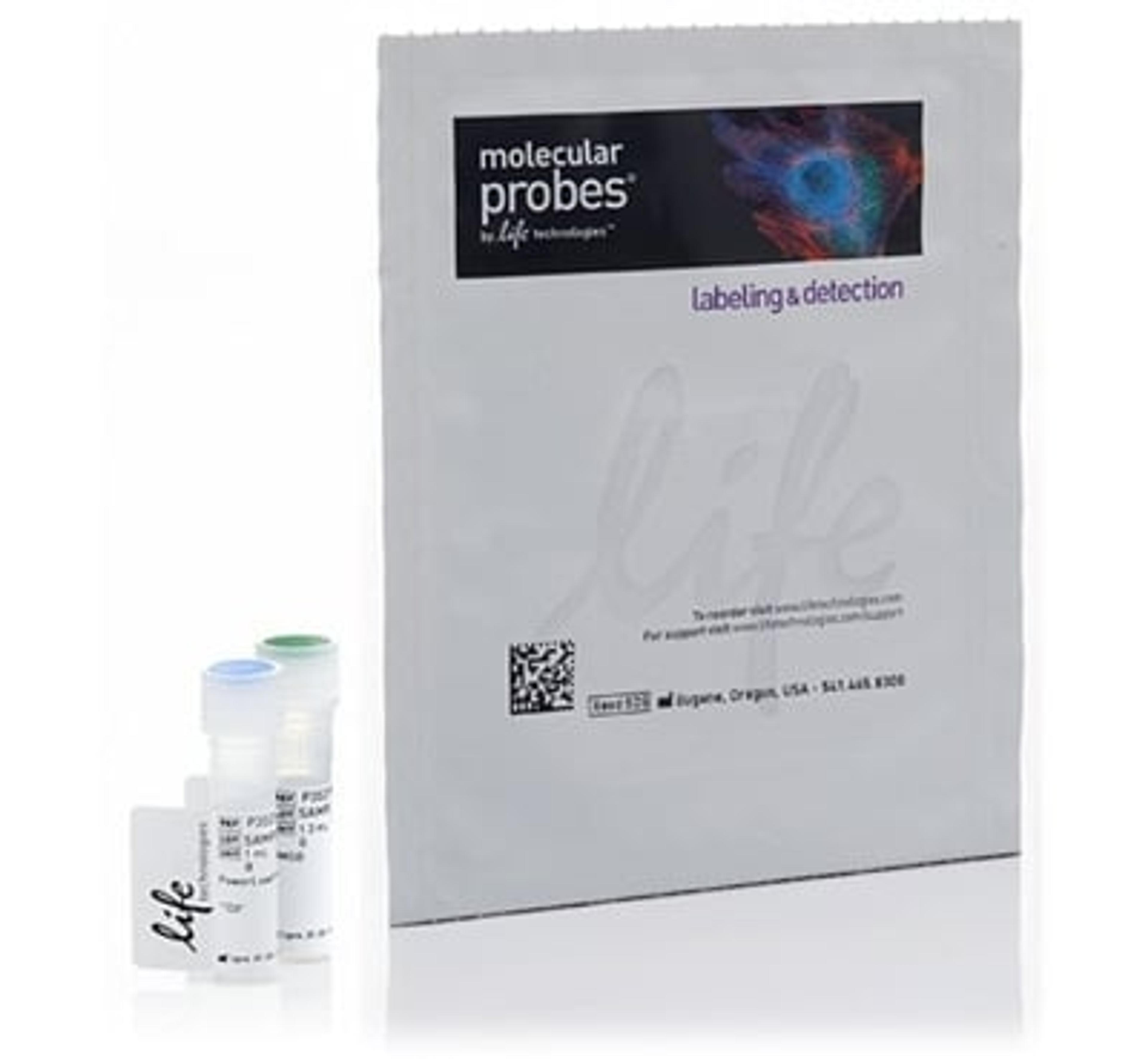 Invitrogen™ HCS CellMask™ Green Stain - Thermo Fisher Scientific - Life Sciences