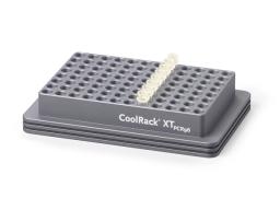 Corning® CoolRack XT PCR96, Holds 12 Strip Wells - Corning Life Sciences - General Lab