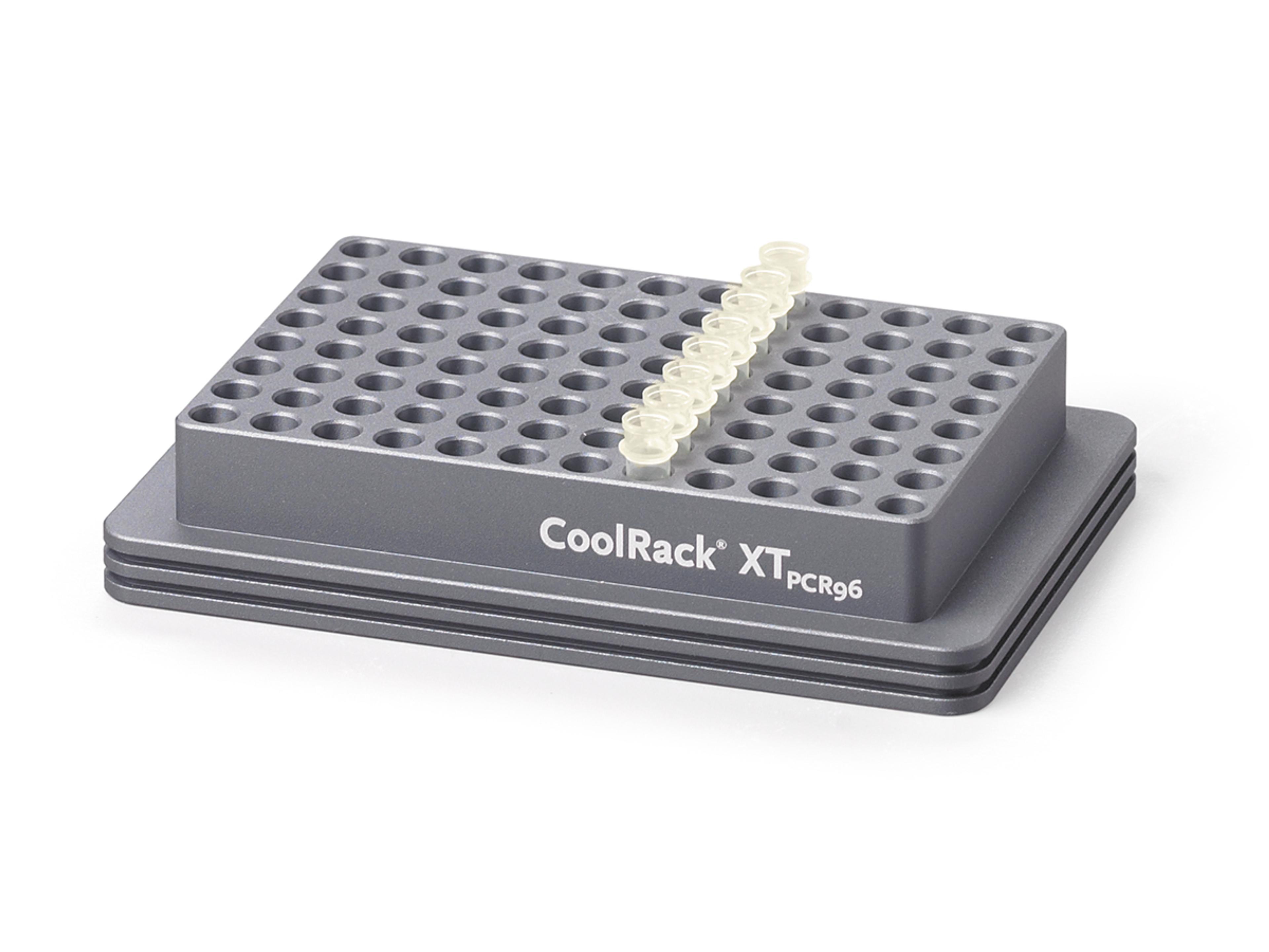 Corning® CoolRack XT PCR96, Holds 12 Strip Wells - Corning Life Sciences - General Lab