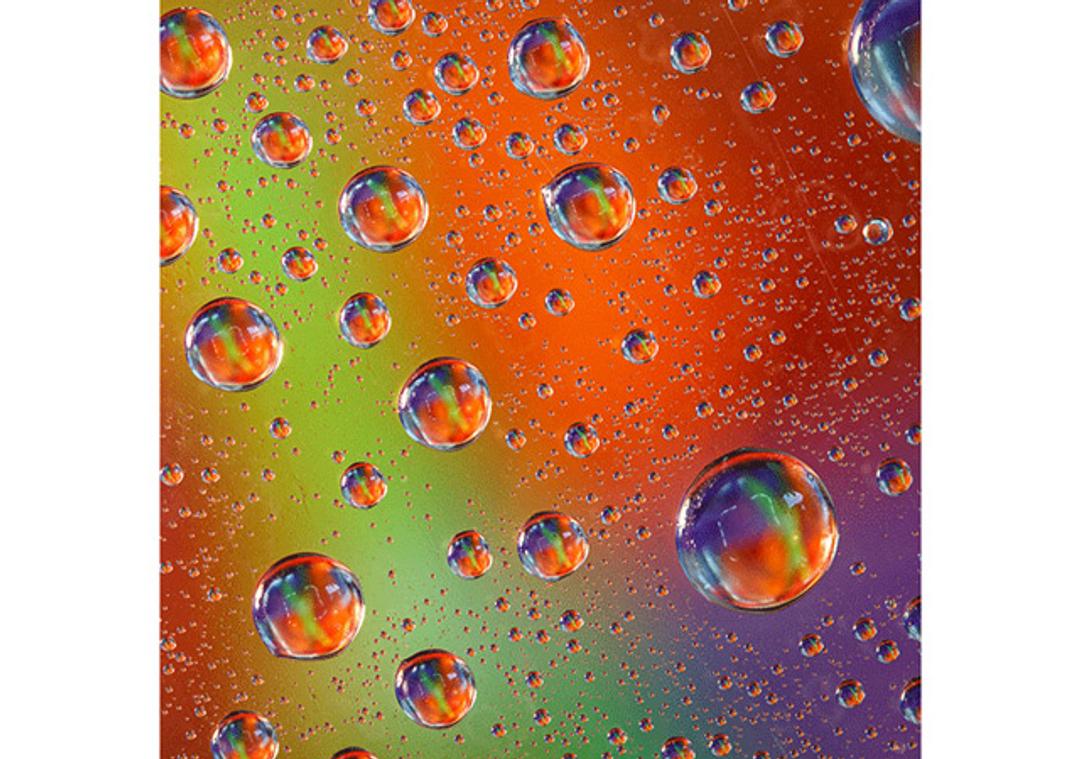 Lipidomics - Cambridge Isotope Laboratories - Life Sciences