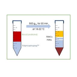 PolymorphPrep™ - PROGEN - General Lab