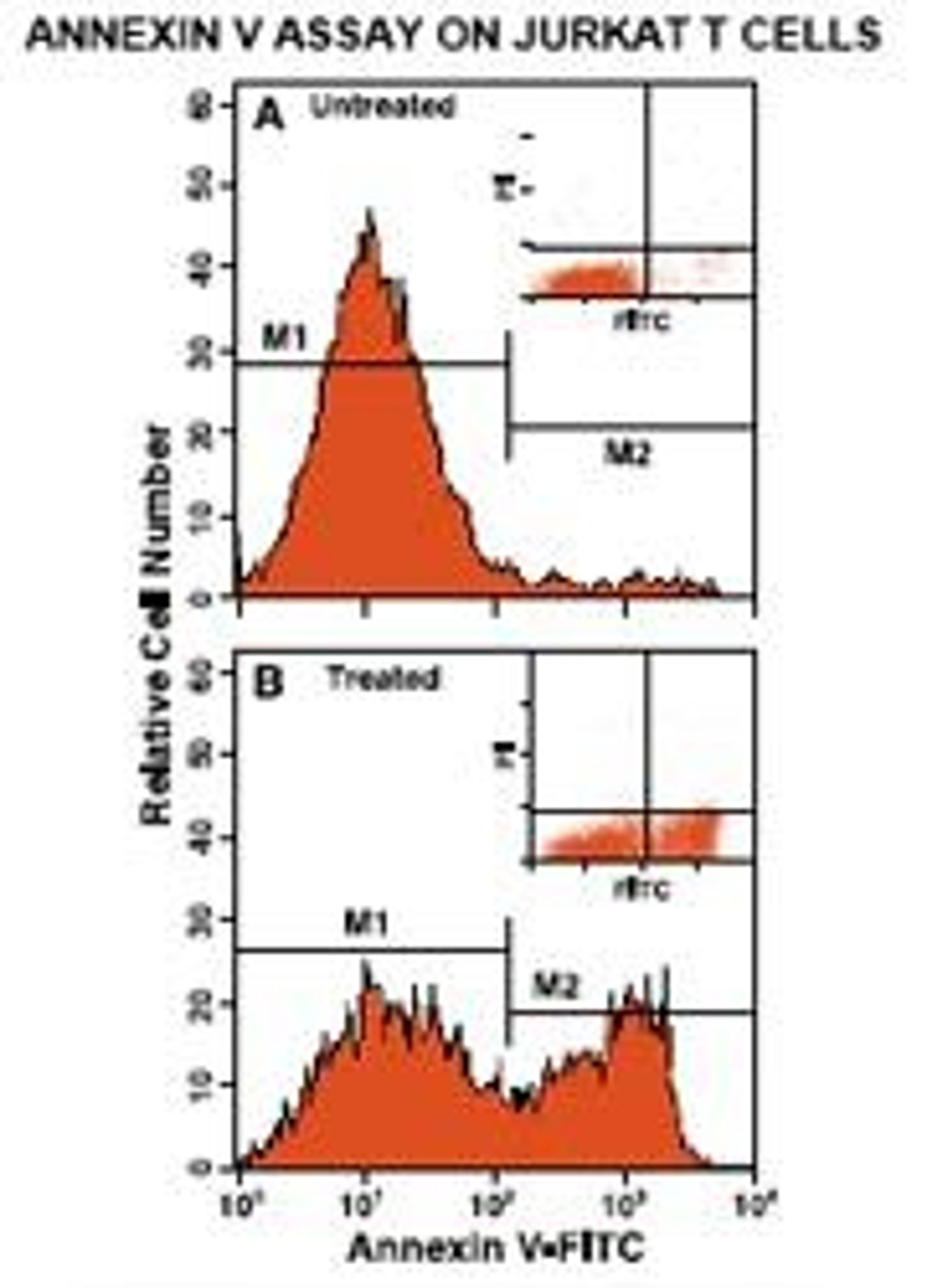 Annexin V : FITC Apoptosis Detection Kit I - BD Biosciences - Life Sciences