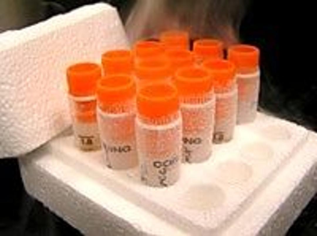 GreenScreen HC - S9 (Human Cells) and Metabolic Activation - Gentronix Ltd. - Life Sciences