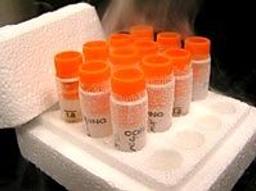 GreenScreen HC - S9 (Human Cells) and Metabolic Activation - Gentronix Ltd. - Life Sciences